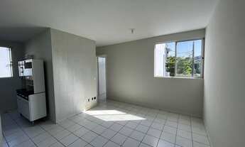 Imagem 7: JARAGUá DO SUL - Padrão - Água verde