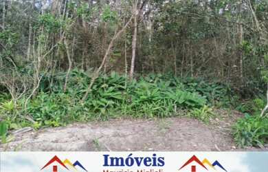 Imagem 3: Vendo lote na Praia do Ervino