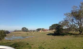 Imagem 2: Terreno de 30hc ao lado do Prado e Verdes Campos