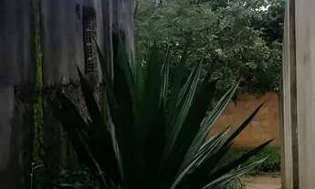 Imagem 4: Lote Mateus Leme