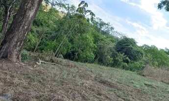 Imagem: Vendo Linda Fazenda!