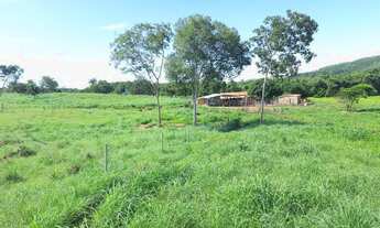 Imagem 6: Sítio 8,5 Alqueires c/ 21 piquetes e mais 9 divisões pasto - 12 KM Mutunópolis GO