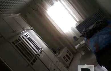 Imagem 5: Casa Terrea Casa com 4 dormitórios