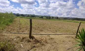 Imagem 6: Fazendinha chácara DF Alexandre Gusmão Brazlândia