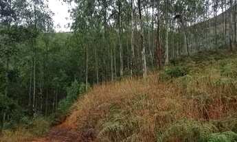 Imagem 7: Chácara em São Roque Maravilha - Alfredo Chaves