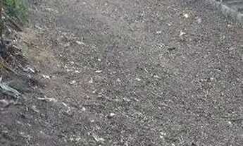 Imagem 6: Vendo ou troco Terreno