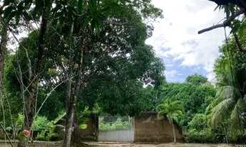 Imagem: Sítio no Coquilho