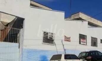 Imagem 4: São Paulo - Galpão/Depósito/Armazém - Água Rasa