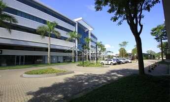 Imagem 7: FLORIANóPOLIS - Conjunto Comercial/Sala - Saco Grande