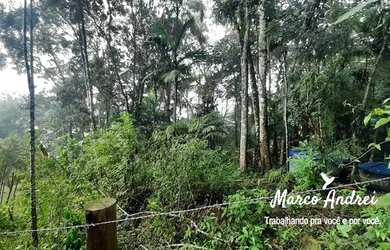 Imagem 5: Terreno 4.300 m² com uma casa em Santo Amaro da Imperatriz