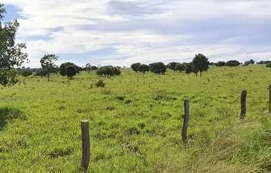 Imagem 3: R$ 125.000.000 Fazenda 817 alqueires Região de Iporá-GO