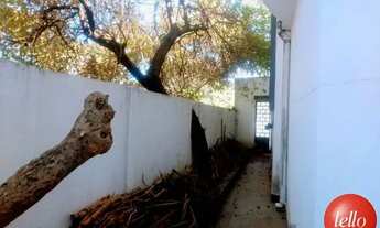 Imagem 7: São Paulo - Casa Comercial - Vila Mariana