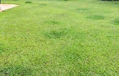 Imagem 6: PA - Terreno para investimentos