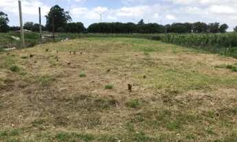 Imagem 2: Terreno escriturado Serramar Osório 390m2