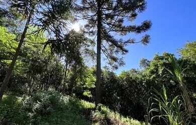 Imagem 7: Chácara com cachoeiras em São Francisco de Paula RS