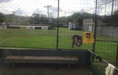 Imagem 2: ALUGUEL DE ÁREA NO SANTA GENOVEVA