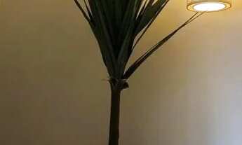 Imagem 4: APARTAMENTO - ALTO DA BOA VISTA - SP