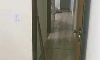 Imagem 2: Alugo apartamento 2 quartos