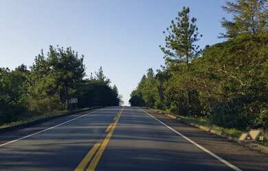 Imagem 6: Lotes Reserva Sauípe - Costa do Sauípe - Linha Verde