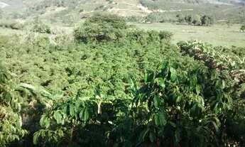 Imagem 3: Sítio 4,2 alqueires Cachoeiro de Itapemirim