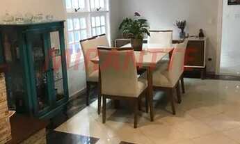 Imagem 4: Em Horto Florestal