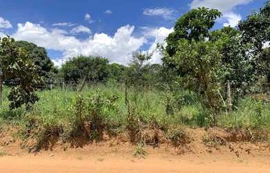 Imagem 4: Chácara 1120m², Setor Tainã, Escriturada, Energia Trifásica, Plana, Aragoiânia.