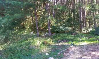 Imagem: Barbada.Terreno no Bairro Cidade Nova