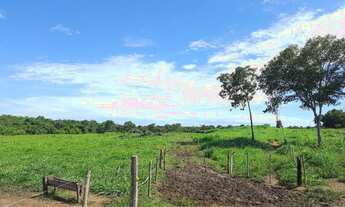 Imagem 4: Sítio 8,5 Alqueires c/ 21 piquetes e mais 9 divisões pasto - 12 KM Mutunópolis GO