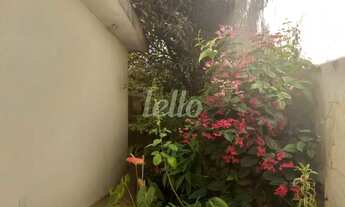 Imagem 10: São Paulo - Casa Padrão - Mooca