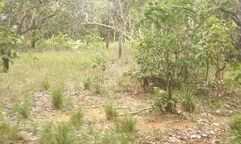 Imagem 3: . Uma Fazenda de 50 alqueires município de Pium Tocantins