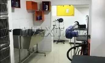 Imagem 5: Ponto comercial na região da Vila Guilherme Zona Norte