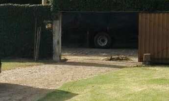 Imagem 3: Casa com 3 dormitórios, 285 m² - venda por R$ 1.800.000 ou aluguel por R$ 7.000,00 /mês