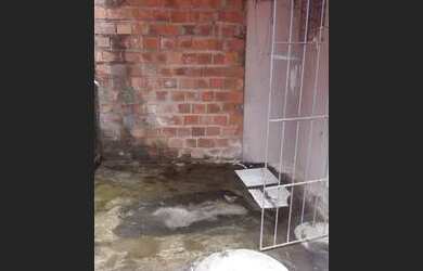 Imagem 5: Casa pra vender Casa com 2 dormitórios