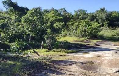 Imagem 7: Chácara 2500m², Córrego (Permanente), Energia, Terra Mista, Entre Guapó e Aragoiânia