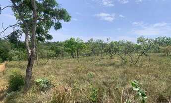 Imagem 7: Sitio rural 19.000m² com excelente casa, muito verde, ótima localização, Jaboticatubas