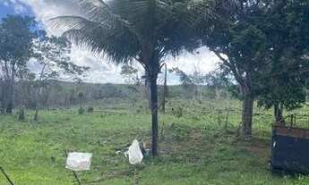 Imagem 4: Fazenda de 115 t, próxima a linha verde, estrada do coco, com casa, curral e rio