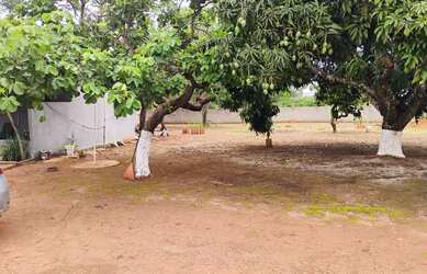 Imagem 5: Chácara à venda - DF