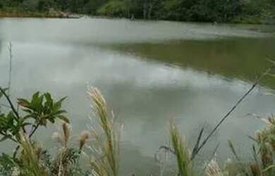 Imagem: Vendo fazenda Batis MG 320 hequitarias