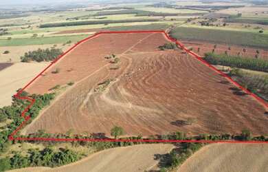 Imagem 3: 95% cana em União Paulista