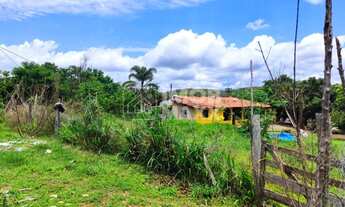 Imagem 7: Chácara a venda 35 hectares - Formada - Nascente e Poço Artesiano - Rural - Paranoá - DF