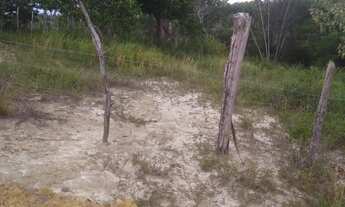 Imagem 5: Vendo terreno em área de praia