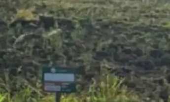 Imagem: Lotes Araçoiaba da Serra - SP no interior