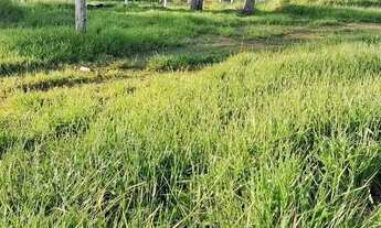 Imagem 5: CAUE IMÓVEIS VENDE: 3 terrenos no loteamento fechado Águas Claras/RS