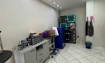 Imagem 6: Passo Banho e Tosa em Navegantes