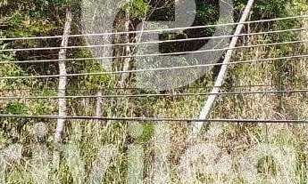 Imagem 6: Terreno à venda, Freguesia (Jacarepaguá) - RIO DE JANEIRO/RJ