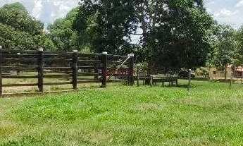 Imagem 7: Fazenda 71 alqueires em Barro Ato Goiás