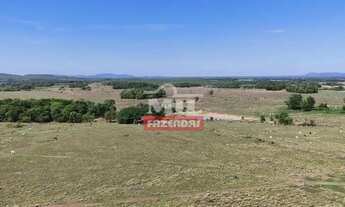 Imagem 2: Fazenda 450 alqueires (2.178 hectares) Crixás - Go
