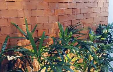 Imagem 7: Casa Condominio Residencial Mônaco, Três quarto, suíte com closet, churrasqueira, Móveis P