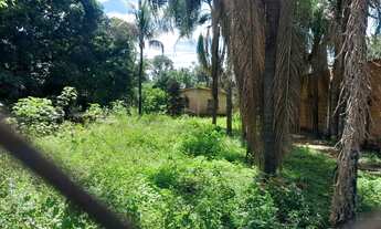 Imagem 7: Vendo chácara no morada nova 20x50 1000m2 com casa e cercada