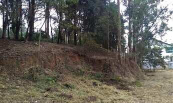 Imagem 4: Terreno à venda, 3949 m² por R$ 2.500.000,00 - Granja Viana - Carapicuíba/SP